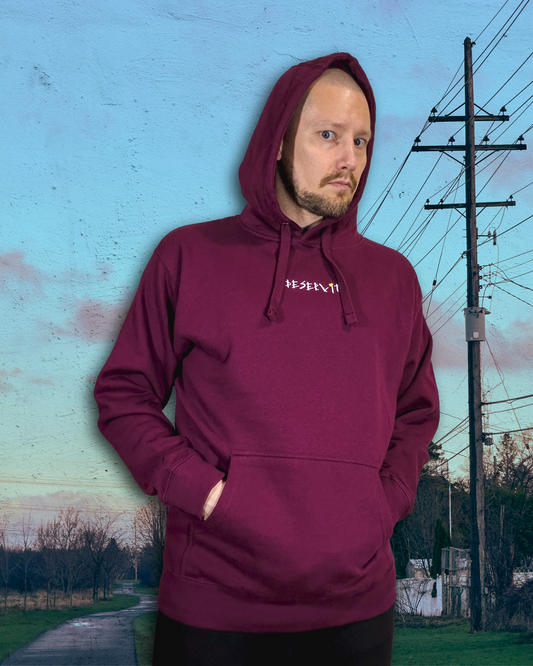 Size L | Pastel Skies and Power Lines Unisex Hoodie